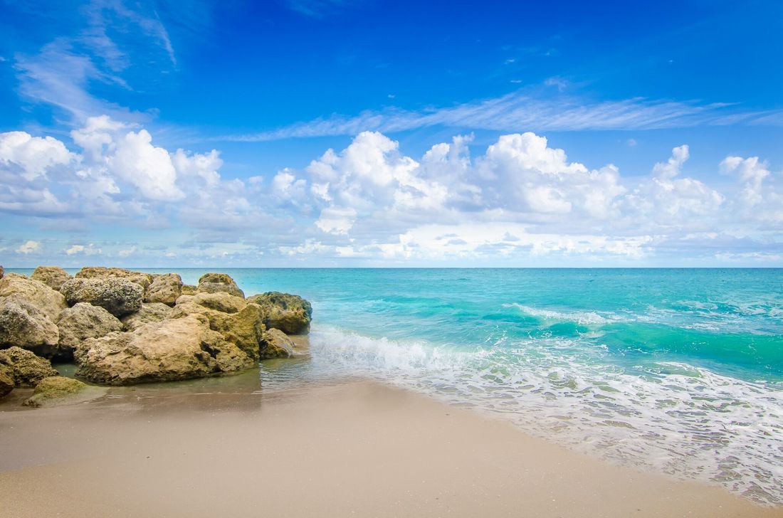 palm beach